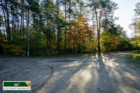 Borkheide Grundstücke, Borkheide Grundstück kaufen