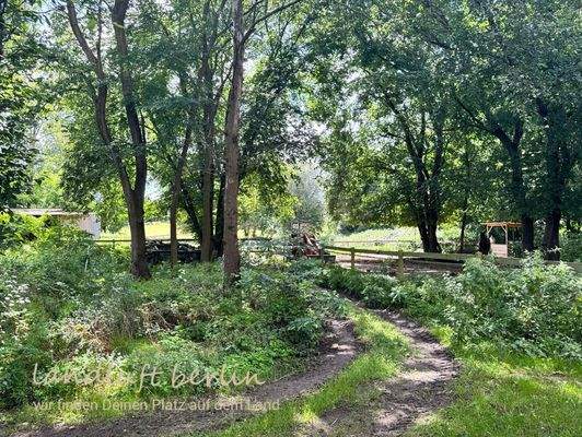 Weg zur Pferdekoppel.jpg