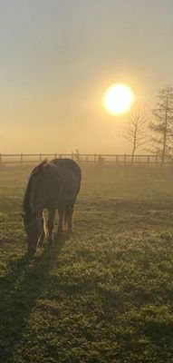IMG_4247.jpeg