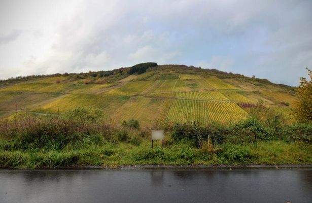 Grundstück Waldrach 