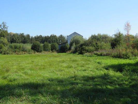 Wiese und Sträucher hinter der Hofstelle 