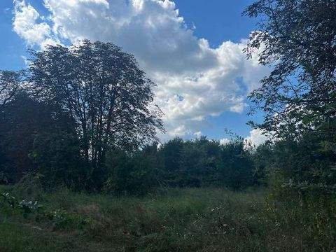 Steinreich / Damsdorf Grundstücke, Steinreich / Damsdorf Grundstück kaufen