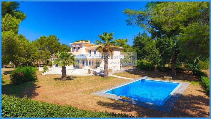 2052ec499b744a9db887ead16857c629-original