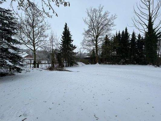 WhatsApp Image 2026-01-12 at 12.36.30