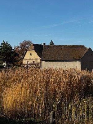 Anblick vom Brauteich 