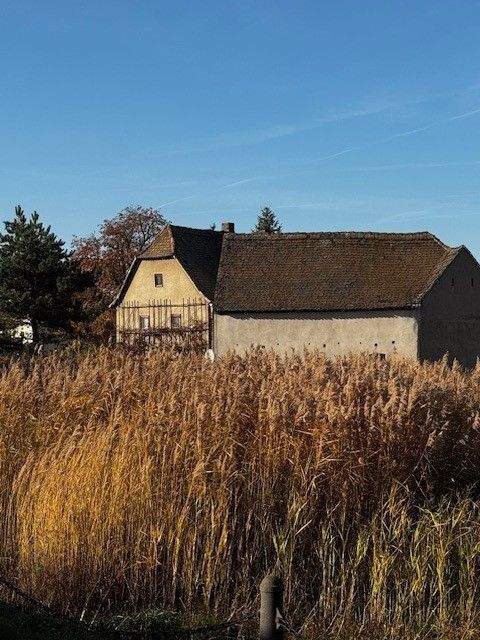 Parthenstein Häuser, Parthenstein Haus kaufen