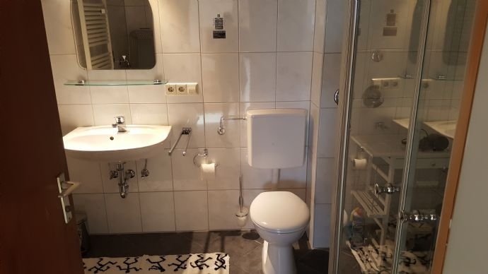 Das Bad mit Dusche und WC