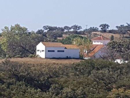 e9e614a5-90bf-44ba-aa1c-f0205efdd1bf