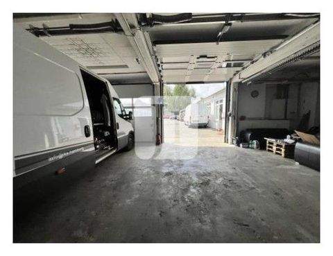 Hamburg Halle, Hamburg Hallenfläche