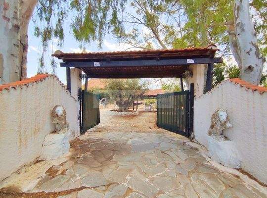 img_85db84ea-d4be-40ad-9c4e-4c7cfa06c0b7