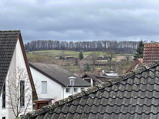 Blick in die Weinberge 
