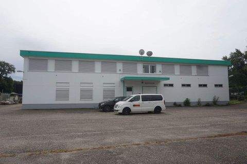 Rastatt Halle, Rastatt Hallenfläche