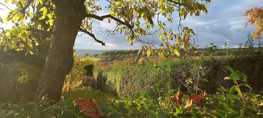 Gartenimpressionen des letzten Jahres (6).JPG