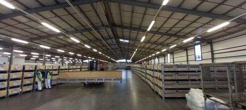 Kassel Halle, Kassel Hallenfläche