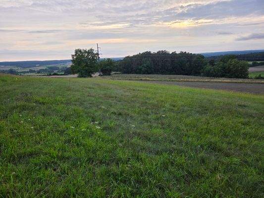 1351 - Flurstück 1371 - lfd. Nr. 10-Bild 1