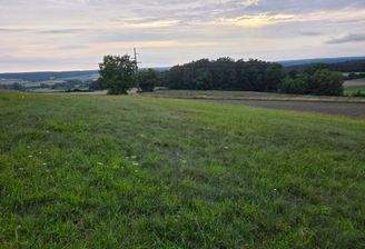 1351 - Flurstück 1371 - lfd. Nr. 10-Bild 1