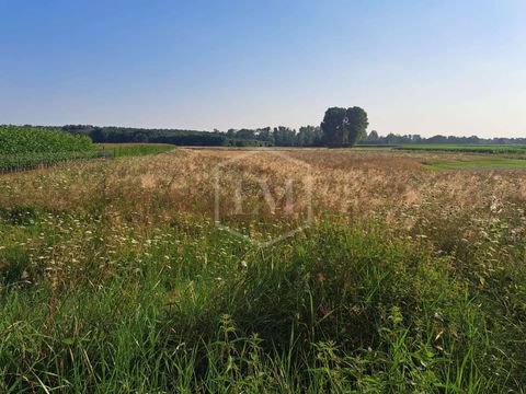 Hückelhoven Bauernhöfe, Landwirtschaft, Hückelhoven Forstwirtschaft