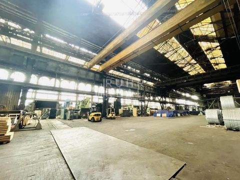 Duisburg Halle, Duisburg Hallenfläche