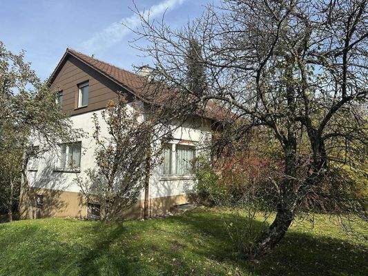 Garten/Außenansicht