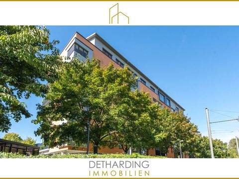 Kassel Wohnungen, Kassel Wohnung kaufen