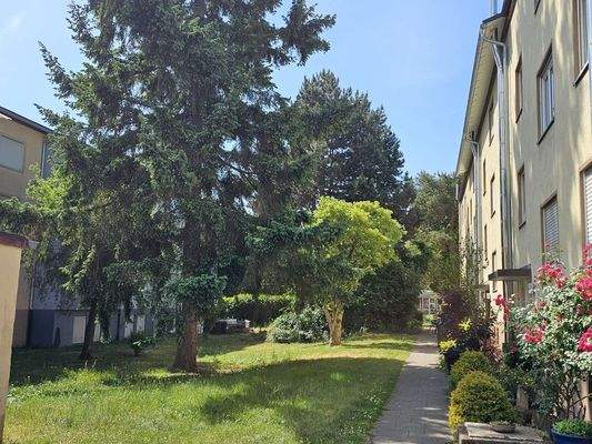 Hauseingang rechts mit Grünanlage