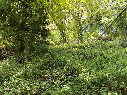 durch das Grundtsück