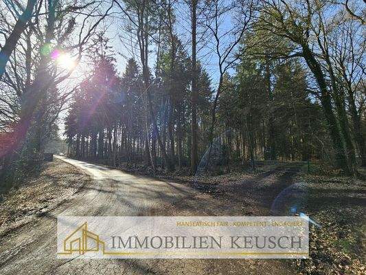 Zufahrt zum Grundstück