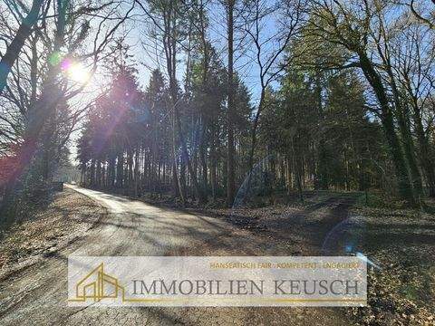 Hambergen Bauernhöfe, Landwirtschaft, Hambergen Forstwirtschaft