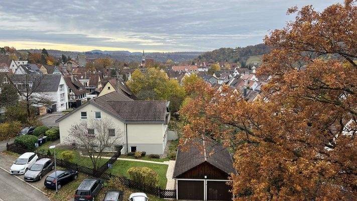 Blick vom Wohnzimmer und Balkon