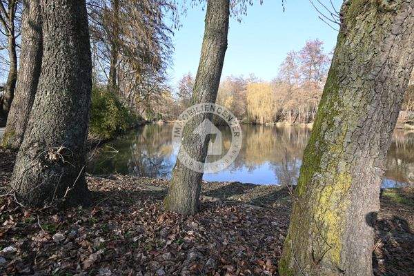 Blick zum Grüntalteich