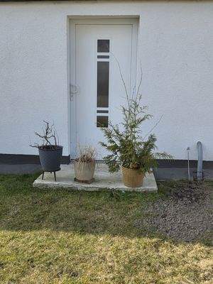 vordere Eingangstür