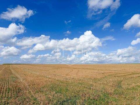 Bedburg-Hau Bauernhöfe, Landwirtschaft, Bedburg-Hau Forstwirtschaft