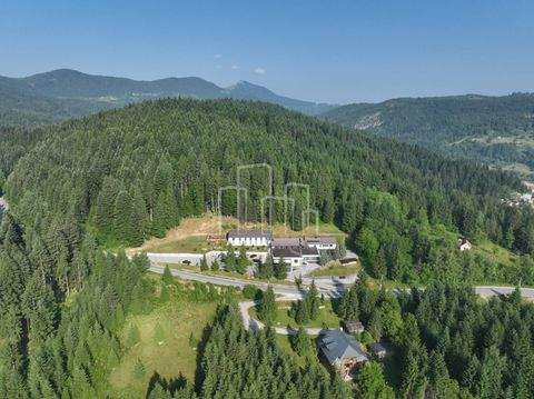 Pale Büros, Büroräume, Büroflächen 