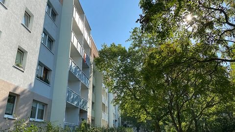 Halle (Saale) Wohnungen, Halle (Saale) Wohnung mieten