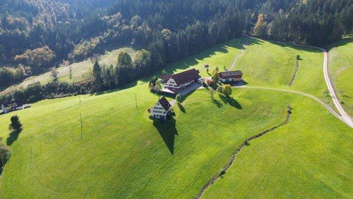 Hofgut mit ges. ca. 46,2 Hektar Flächen