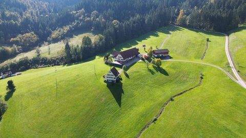 Oppenau Häuser, Oppenau Haus kaufen