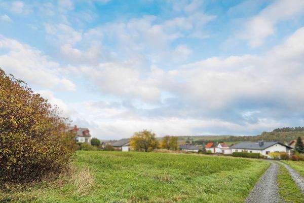 Grundstück von hinten, vom Feld aus 