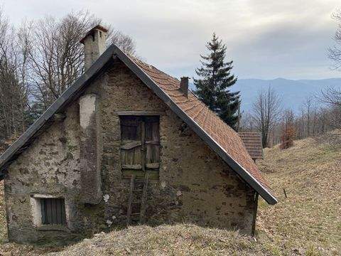 Urbe Häuser, Urbe Haus kaufen