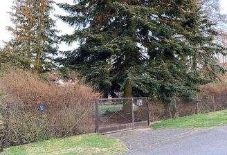 Straßenansicht mit Grundstückseingang