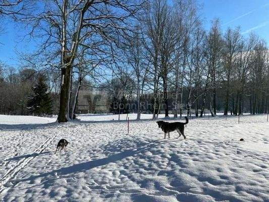 Schnee auf dem Golfplatz 
