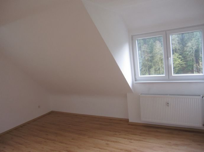 3-Zimmerdachwohnung in Schiltach-Hinterlehengericht