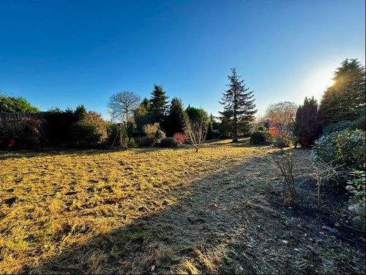 Garten Teilansicht-2