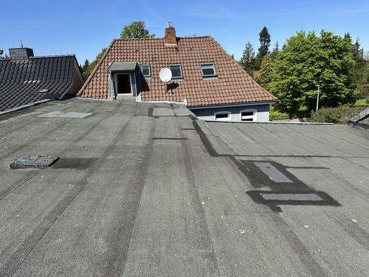 Bild6