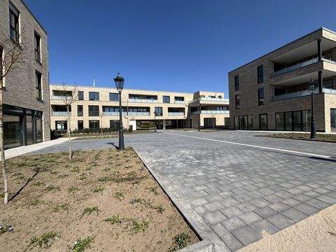 Borken / Burlo Wohnungen, Borken / Burlo Wohnung mieten