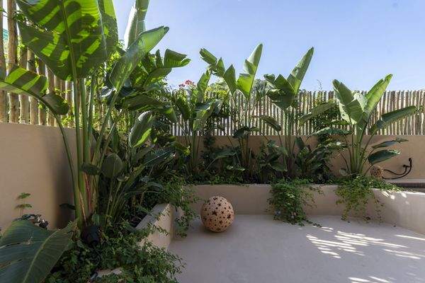 Bepflanzung Terrasse