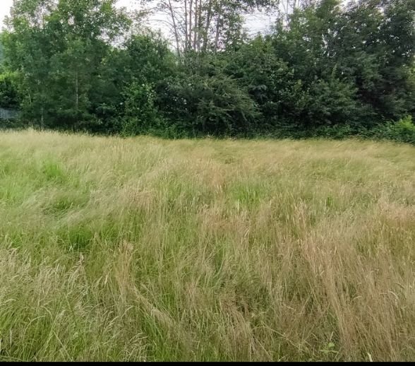 Baugrundstück in Schopfheim Raitbach zu verkaufen