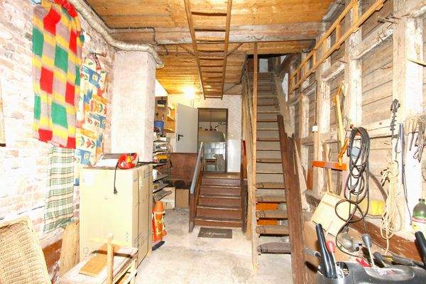 03.17. Schuppen_groß.JPG