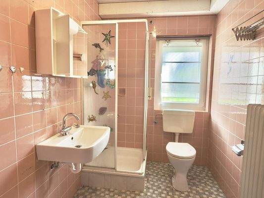 Souterrain: Dusche-WC