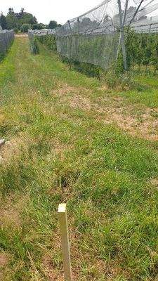 Blick Richtung Südwest.jpg