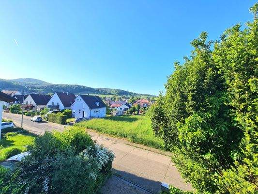 Blick Richtung Pfälzer Wald